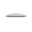 Apple Magic Mouse 2